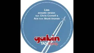 CHRIS CORNELL & Ace from Skunk Anansie - Lies acoustic vers. by Gabin