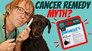 Panacur for Dog and Cat Cancer