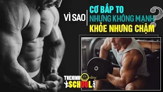 Tại sao Cơ bắp to nhưng không mạnh? Khỏe nhưng chậm?