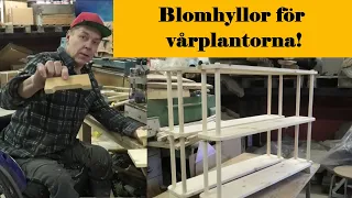 Blomhyllor för vårplantorna