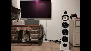 Triangle Borea br09 speakers ordinary customer review