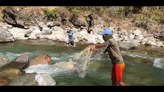 HIMALAYAN TROUT(ASALA) FISHING IN SMALL RIVER OF NEPAL IN WINTER SEASON WITH CAST-NET | CAST-NET |