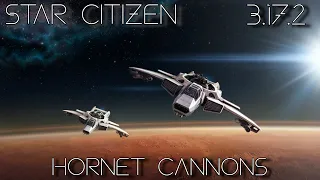 Star Citizen 3.17.2 - My Favorite Loadout for The Hornet