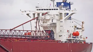 SELF DISCHARGING BULK CARRIER AND MANY OTHER TYPES OF SHIPS ON RIVER SCHELDE - 4K SHIPSPOTTING 2023