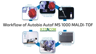 Workflow of Autobio Autof MS 1000 MALDI-TOF