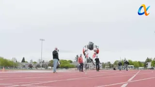 Cassie the robot creates Guinness World Record by running 100 metres