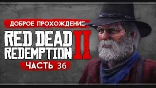 Прохождение Red Dead Redemption 2 | Часть 36: Выпустил пар