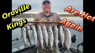 Lake Oroville King Fishing is Red Hot Again!!!
