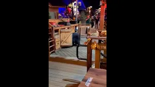 A black bear surprises guests at Anakeesta in Gatlinburg, Tenn.