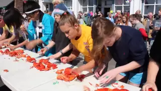 Fishermen's Festival 2013: Lobster eating competition