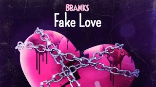 Fake Love