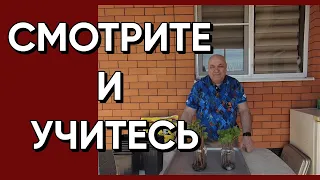 274ч🌹Жизнь на юге России/Краснодарский край/Переезд на Кубань