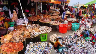 World's busiest fish distribution site only in Cambodia, fish market