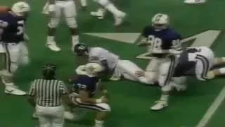 1988 I-AA National Championship - Furman vs Ga. Southern