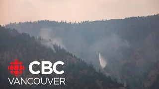 B.C.'s wildfires were expected, says fire ecologist