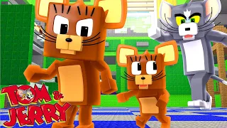 Minecraft - Who's Your Family? O FILHO DO JERRY TROLLOU O TOM ! TOM E JERRY !