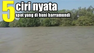 5 ciri spot yang dihuni barramundi