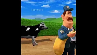 Barnyard Dancing Polish cow [FAST]