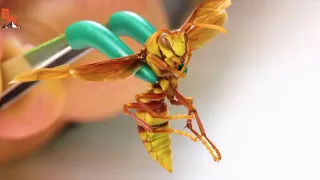 Coyote Peterson gets stung by executioner wasp