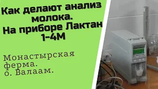 Как делают анализ молока