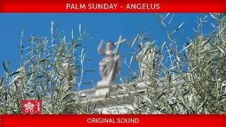 Pope Francis - Celebration of Palm Sunday - Angelus prayer 2019-04-14