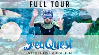 SeaQuest Interactive Aquarium. Woodbridge New Jersey