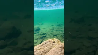 #underwater