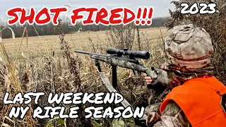 LAST WEEKEND NY RIFLE SEASON 2023 - CAN WE GET ONE MORE??? (Shot Fired!!!)