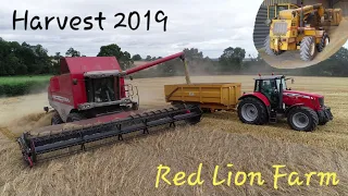 Harvest 2019 | Red Lion Farm