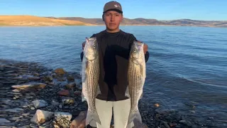 Topwater Fishing for Striper - San Luis Reservoir