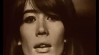 Françoise Hardy - Mon amie la rose (live)