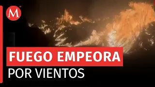 Reportan incendios forestales que afectaron 700 hectáreas en Veracruz