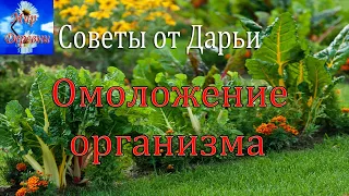 Советы от Дарьи  - Эффективный способ омоложения организма