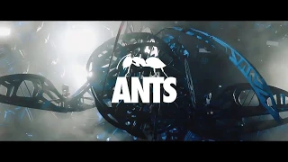 Ushuaïa Ibiza Opening Party - ANTS Takeover #1