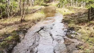 Весенняя прогулка на квадроцикле Сокол Трофи