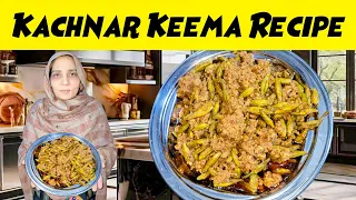 Kachnar Keema Recipe By Fazeelat | کچنار قیمہ بنانے کا طریقہ | Qeema Kachnar ki Sabji