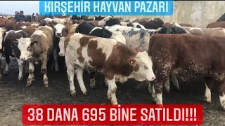 Kırşehir Hayvan Pazarında Satışlar Son Hız Devam Ediyor/ Erkek Dana Satışı Çok Hızlı