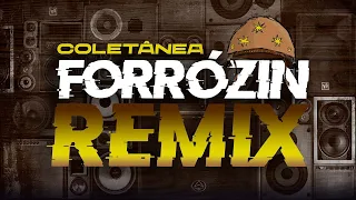 SELEÇÃO FORRÓZINHO - LUIZ GONZAGA E SUCESSOS REMIX FORRÓ PRA PAREDÃO - RD7CDs