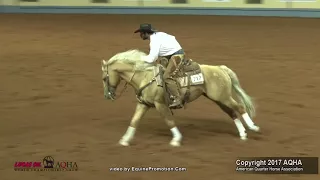 2017 AQHA Senior Working Cow Horse