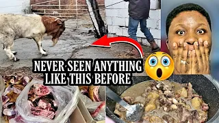 Most Oldest and Tastiest GOAT Meat Ever Bought | When a NIGERIAN Man Wants to buy a Goat