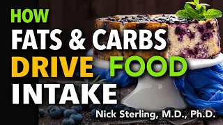 How Fats & Carbs Drive Food Intake | Nick Sterling, MD, PhD #6