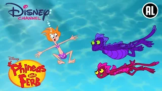Phineas & Ferb | Verpeste Vakantie | Disney Channel BE