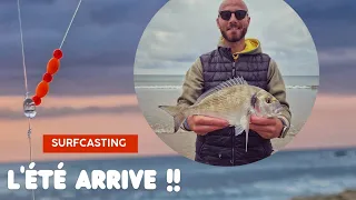 Surfcasting : Astuces avant l'été pour pêcher des JOLIS POISSONS !( Daurade Royale, Bar, Marbré...)