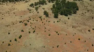 Rural Land Flyover in Grants, New Mexico