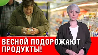 Внимание! Почему дорожают продукты? Весной подорожают еще больше!