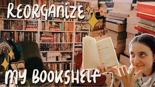 Reorganize My Bookshelves with Me!