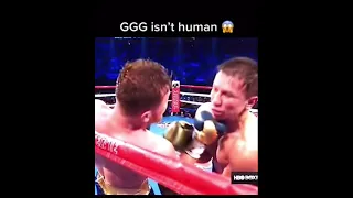 GGG  isn’t human😱 #shorts #boxing #ggg 🥊