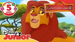 Løvenes Garde | Musikk: Låter fra sesong 2! 🎶- Disney Junior Norge