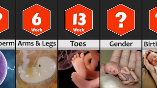 Pregnancy Week by Week: Baby Development from 0 to 9 Months