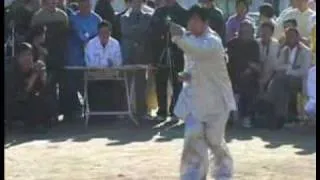 Shang Style Xing Yi Quan